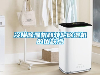 行業(yè)新聞冷媒除濕機和轉(zhuǎn)輪除濕機的優(yōu)缺點