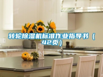 常見問題轉輪除濕機標準作業指導書（42頁）
