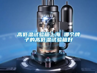 常見問題高低溫試驗(yàn)箱上海 哪個(gè)牌子的高低溫試驗(yàn)箱好