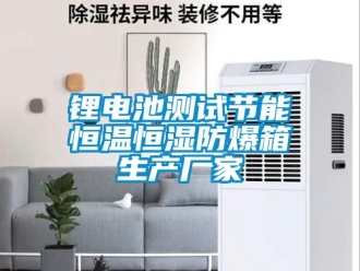 知識百科鋰電池測試節(jié)能恒溫恒濕防爆箱生產(chǎn)廠家