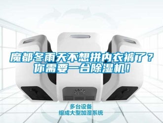 行業新聞魔都冬雨天不想拼內衣褲了？你需要一臺除濕機！
