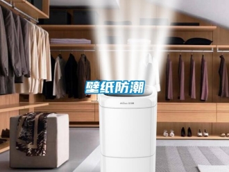 常見問題壁紙防潮