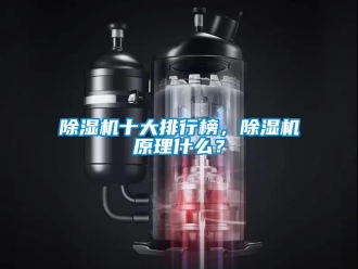 行業(yè)新聞除濕機十大排行榜，除濕機原理什么？
