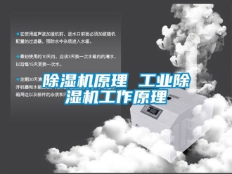 常見問題除濕機原理 工業(yè)除濕機工作原理