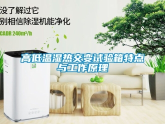 常見問題高低溫濕熱交變試驗(yàn)箱特點(diǎn)與工作原理