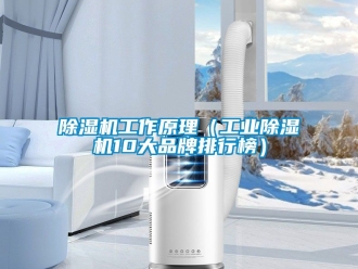 常見問題除濕機工作原理（工業除濕機10大品牌排行榜）