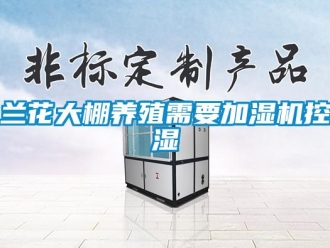 行業(yè)新聞蘭花大棚養(yǎng)殖需要加濕機控濕