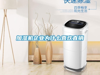 行業(yè)新聞加濕機(jī)企業(yè)為什么喜歡直銷(xiāo)
