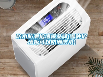 常見問題防水防潮護墻板品牌(哪種護墻板可以防潮防水)