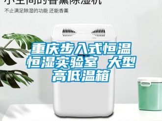 知識百科重慶步入式恒溫恒濕實驗室 大型高低溫箱
