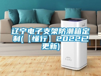 常見問題遼寧電子支架防潮箱定制(【懂行】2022已更新)