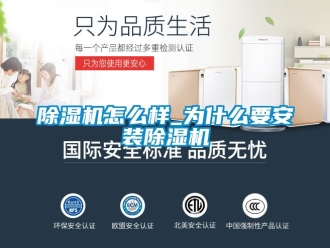 行業新聞除濕機怎么樣_為什么要安裝除濕機