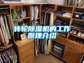 常見問題轉(zhuǎn)輪除濕機(jī)的工作原理介紹