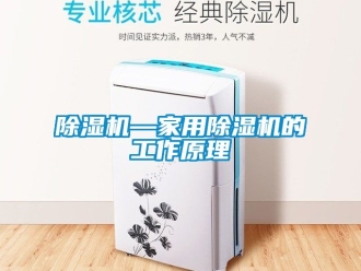 常見問題除濕機—家用除濕機的工作原理