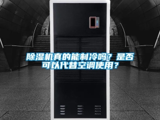 行業新聞除濕機真的能制冷嗎？是否可以代替空調使用？