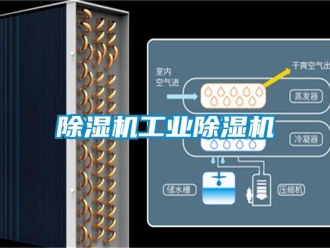 常見問題除濕機工業除濕機