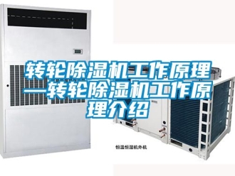 常見問題轉輪除濕機工作原理—轉輪除濕機工作原理介紹