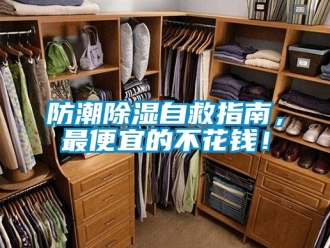 常見問題防潮除濕自救指南，最便宜的不花錢！