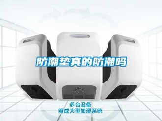 常見問題防潮墊真的防潮嗎