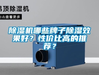 行業(yè)新聞除濕機(jī)哪些牌子除濕效果好？性價(jià)比高的推薦？
