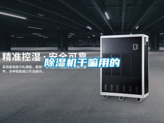 行業(yè)新聞除濕機(jī)干嘛用的
