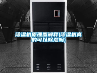 行業新聞除濕機原理圖解釋(除濕機真的可以除濕嗎)