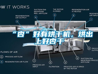 常見問題“杏”好有烘干機(jī)，烘出上好杏干