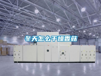 常見問題冬天怎么干燥香菇