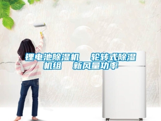 常見問題鋰電池除濕機  輪轉式除濕機組  新風量功率