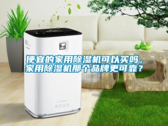 常見問題便宜的家用除濕機可以買嗎，家用除濕機那個品牌更可靠？