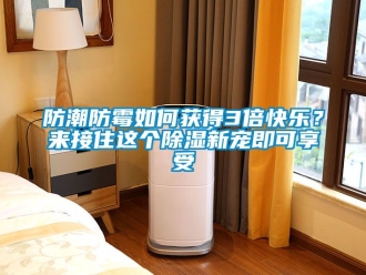 常見問題防潮防霉如何獲得3倍快樂？來接住這個除濕新寵即可享受