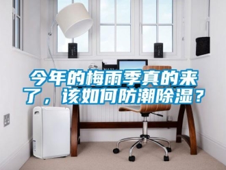 常見問題今年的梅雨季真的來了，該如何防潮除濕？