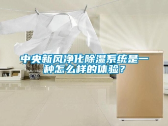 常見問題中央新風凈化除濕系統是一種怎么樣的體驗？