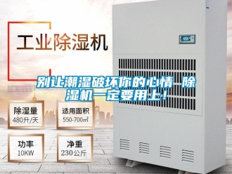 常見問題別讓潮濕破壞你的心情 除濕機(jī)一定要用上！