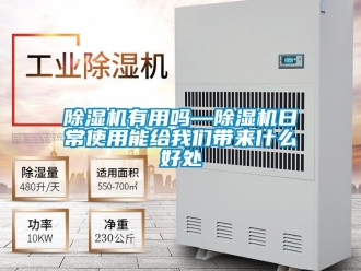 行業新聞除濕機有用嗎—除濕機日常使用能給我們帶來什么好處