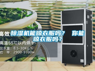 行業新聞除濕機能晾衣服嗎？ 你能晾衣服嗎？