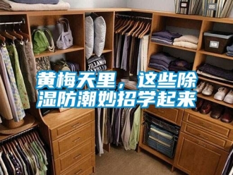 常見問題黃梅天里，這些除濕防潮妙招學起來