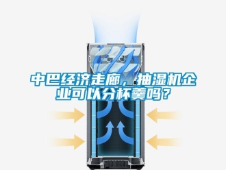 常見問題中巴經濟走廊，抽濕機企業可以分杯羹嗎？