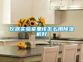 常見問題儀器實驗室里該怎么用除濕機好