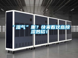 常見問題“濕氣”重？快來看這些除濕妙招！