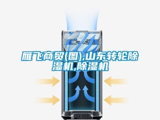 常見問題雁飛商貿(圖),山東轉輪除濕機,除濕機