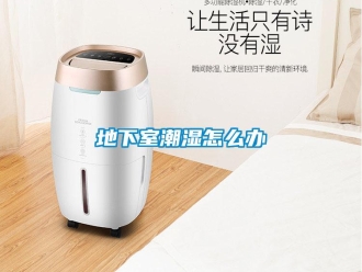 常見(jiàn)問(wèn)題地下室潮濕怎么辦