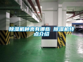 行業(yè)新聞除濕機(jī)種類有哪些 除濕機(jī)特點(diǎn)介紹