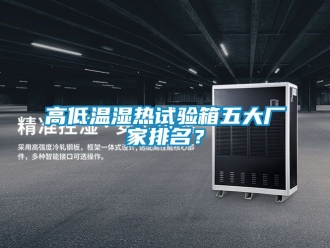 常見問題高低溫濕熱試驗箱五大廠家排名？