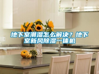 常見(jiàn)問(wèn)題地下室潮濕怎么解決？地下室新風(fēng)除濕一體機(jī)