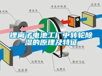 常見問題鋰離子電池工廠中轉輪除濕的原理及特征