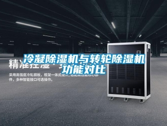 行業(yè)新聞冷凝除濕機(jī)與轉(zhuǎn)輪除濕機(jī)功能對(duì)比