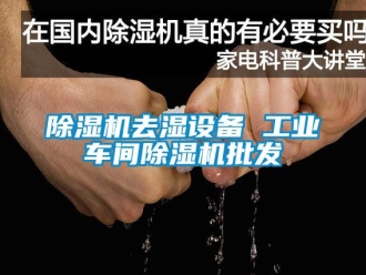 常見問題除濕機去濕設(shè)備 工業(yè)車間除濕機批發(fā)