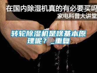 常見問題轉輪除濕機是啥基本原理呢？_重復