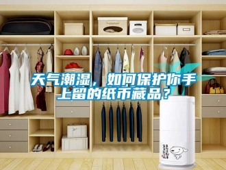 常見問題天氣潮濕，如何保護你手上留的紙幣藏品？